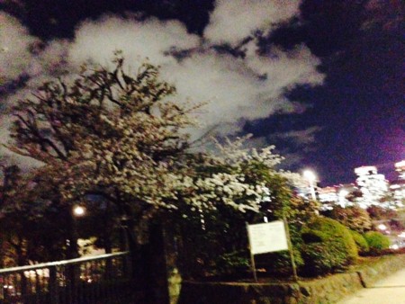 f:id:SPYBOY:20140404190904j:image f:id:SPYBOY:20140404190904j:image