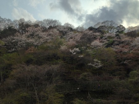 f:id:SPYBOY:20140405155324j:image:w300 f:id:SPYBOY:20140405155324j:image:w300