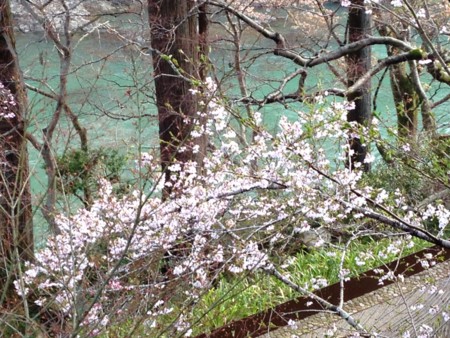 f:id:SPYBOY:20140406072522j:image:w300 f:id:SPYBOY:20140406072522j:image:w300