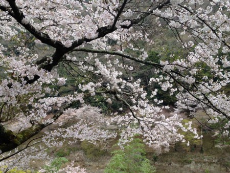 f:id:SPYBOY:20140406084823j:image:w300 f:id:SPYBOY:20140406084823j:image:w300