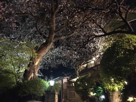 f:id:SPYBOY:20150327195152j:image f:id:SPYBOY:20150327195152j:image