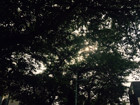 f:id:SPYBOY:20150522072432j:image:w360 f:id:SPYBOY:20150522072432j:image:w360