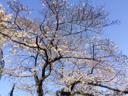 f:id:SPYBOY:20160325072316j:image:w360