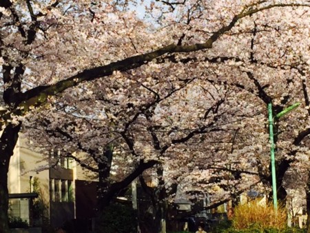 f:id:SPYBOY:20160401072448j:image:w360 f:id:SPYBOY:20160401072448j:image:w360