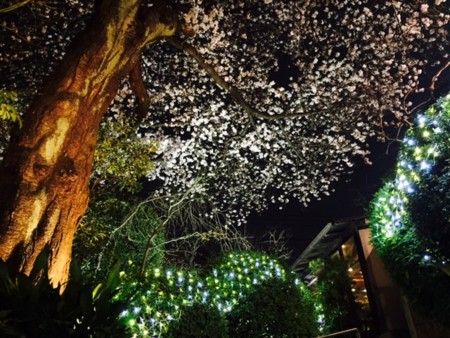 f:id:SPYBOY:20160401200359j:image:w360 f:id:SPYBOY:20160401200359j:image:w360