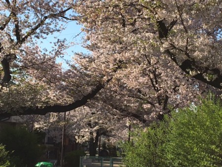 f:id:SPYBOY:20170414071545j:image:w360