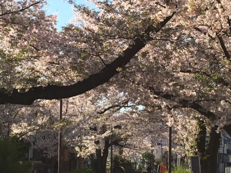 f:id:SPYBOY:20170414071555j:image:w360