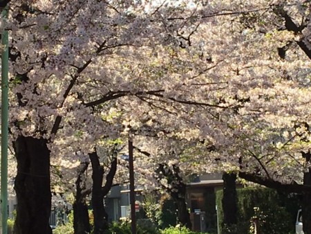 f:id:SPYBOY:20170414071740j:image:w360