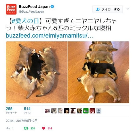 f:id:SPYBOY:20170514155631j:image f:id:SPYBOY:20170514155631j:image
