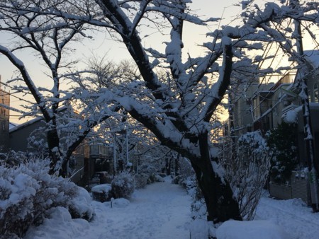 f:id:SPYBOY:20180123071718j:image