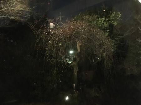 f:id:SPYBOY:20180209211530j:image:w360 f:id:SPYBOY:20180209211530j:image:w360