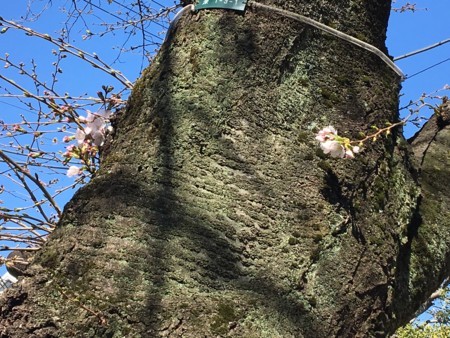 f:id:SPYBOY:20180317103713j:image f:id:SPYBOY:20180317103713j:image