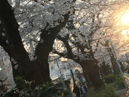 f:id:SPYBOY:20180325170754j:image