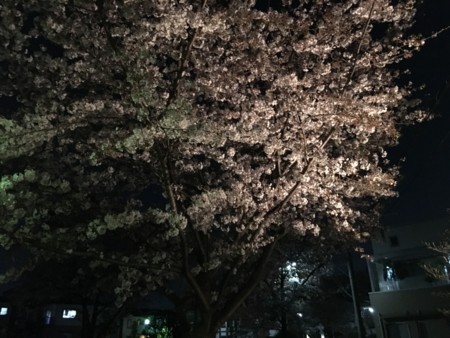 f:id:SPYBOY:20180330215826j:image:w480 f:id:SPYBOY:20180330215826j:image:w480