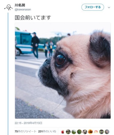 f:id:SPYBOY:20180415192427j:image f:id:SPYBOY:20180415192427j:image