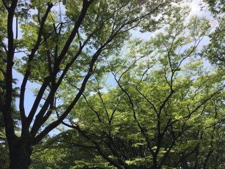 f:id:SPYBOY:20180430104232j:image