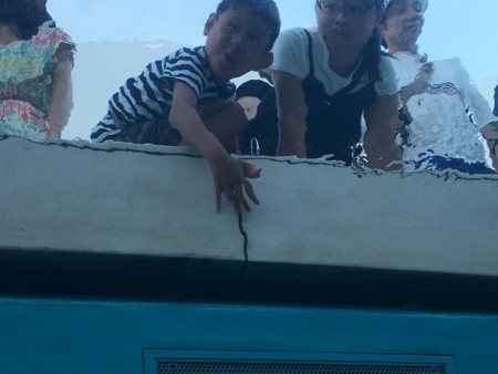 f:id:SPYBOY:20180813160240j:image:w360