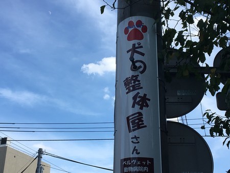 f:id:SPYBOY:20180818160306j:image