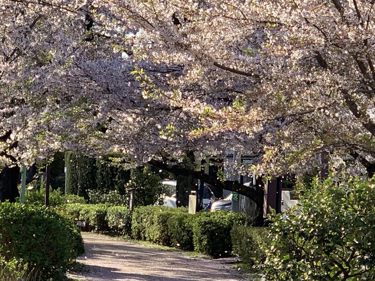 f:id:SPYBOY:20190409065820j:plain