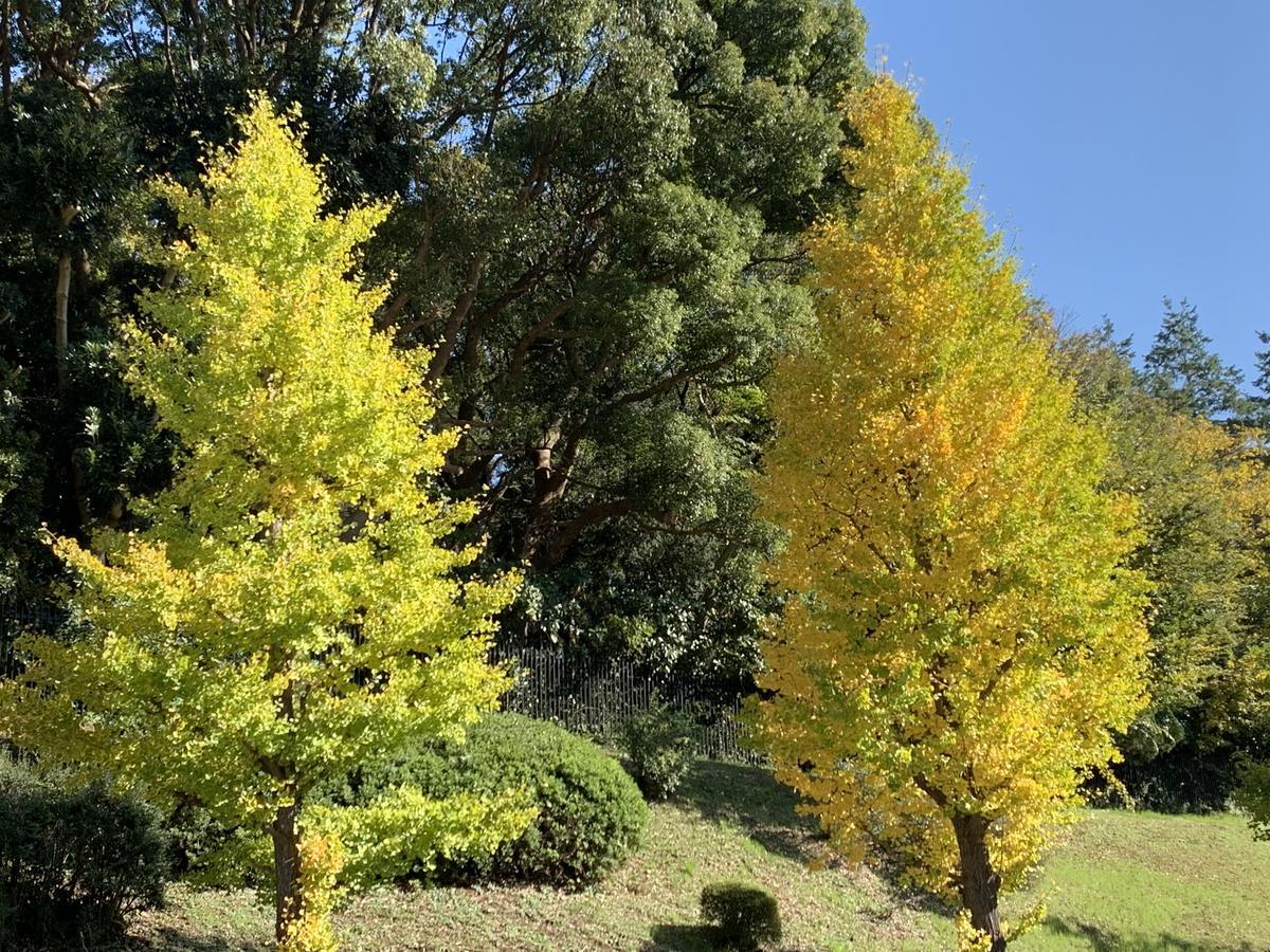 f:id:SPYBOY:20191118070900j:plain f:id:SPYBOY:20191118070900j:plain