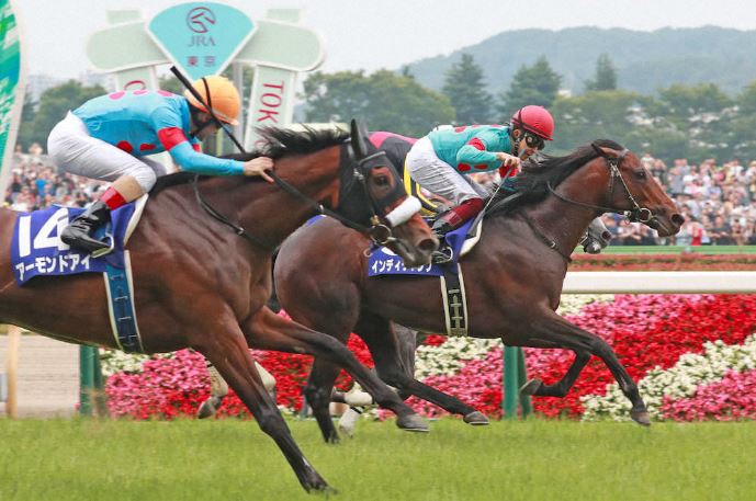 先日の安田記念 やはり競馬に 絶対 はない くたばるときは前のめり