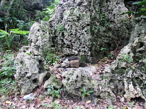 f:id:SQB:20080304134452j:image