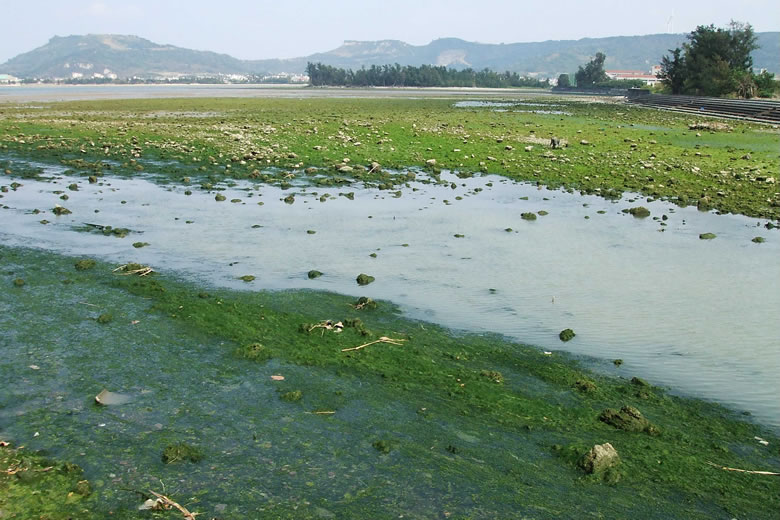 f:id:SQB:20080308233749j:image