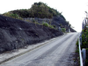 f:id:SQB:20080422131117j:image