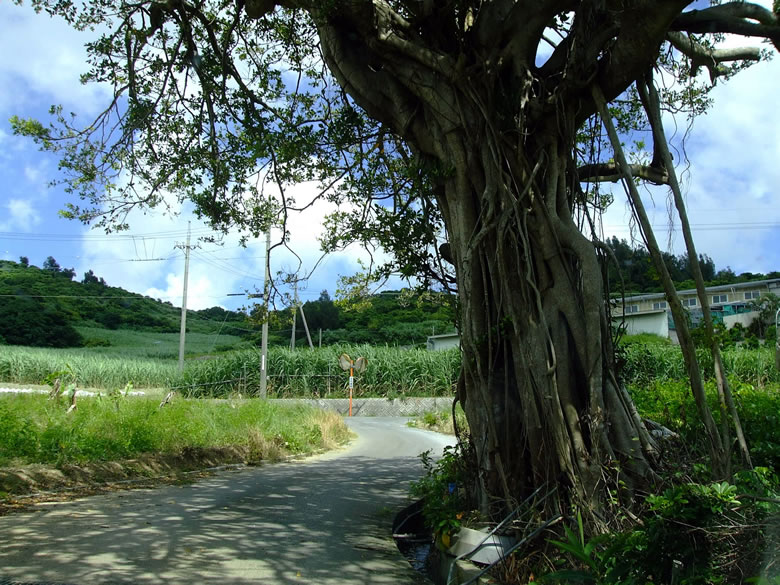 f:id:SQB:20080719155208j:image