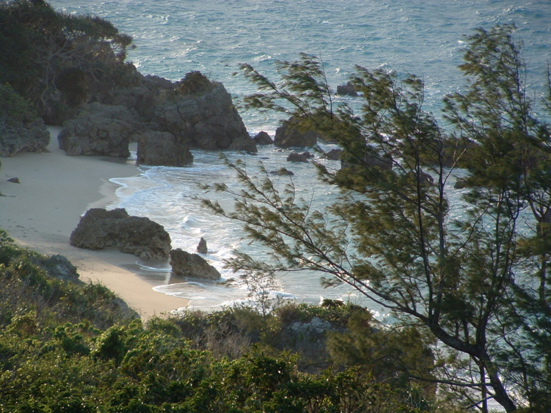 f:id:SQB:20090218233013j:image