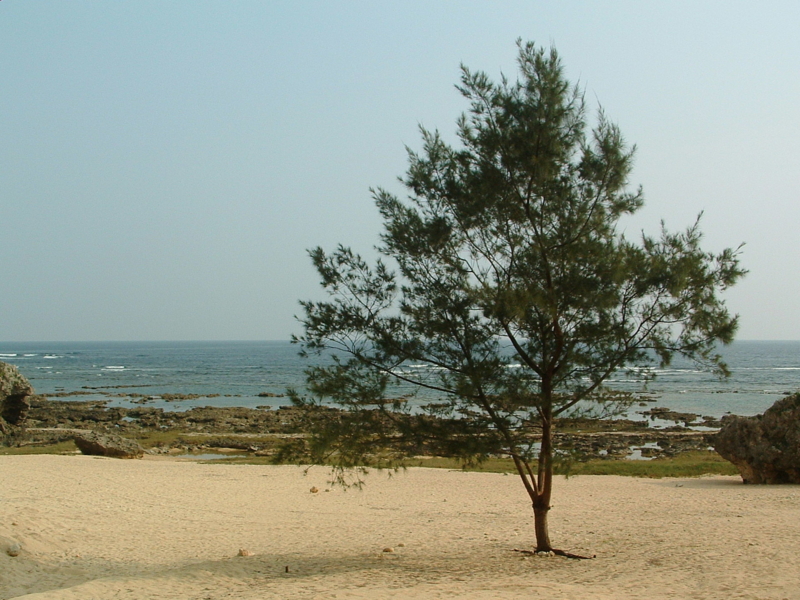 f:id:SQB:20090304202331j:image