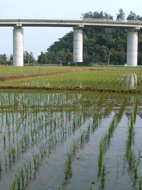 f:id:SQB:20090611215810j:image