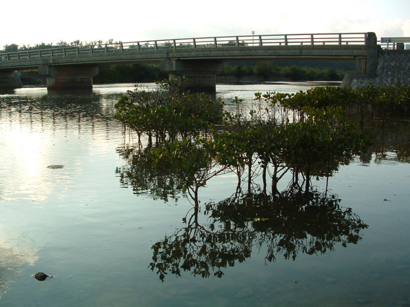 f:id:SQB:20090810224158j:image