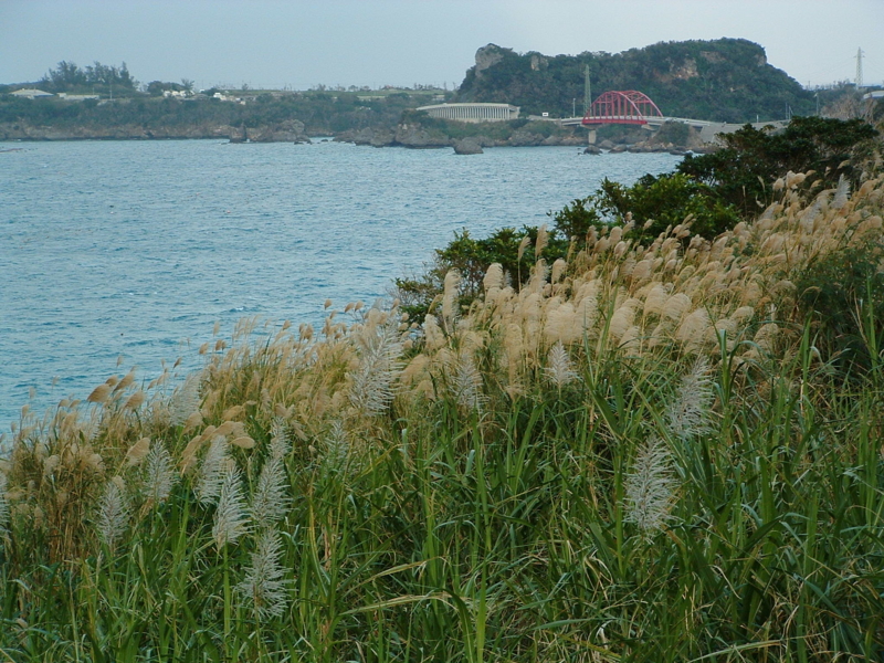 f:id:SQB:20090811214534j:image