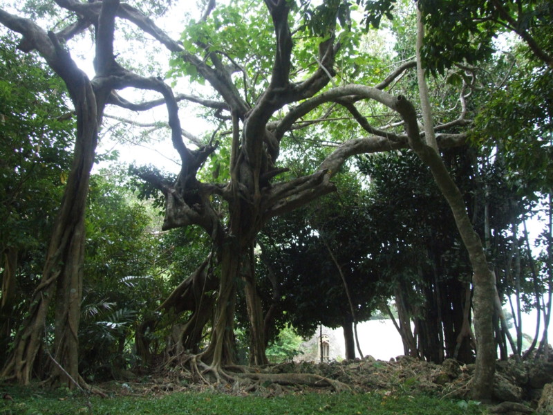 f:id:SQB:20090926231328j:image