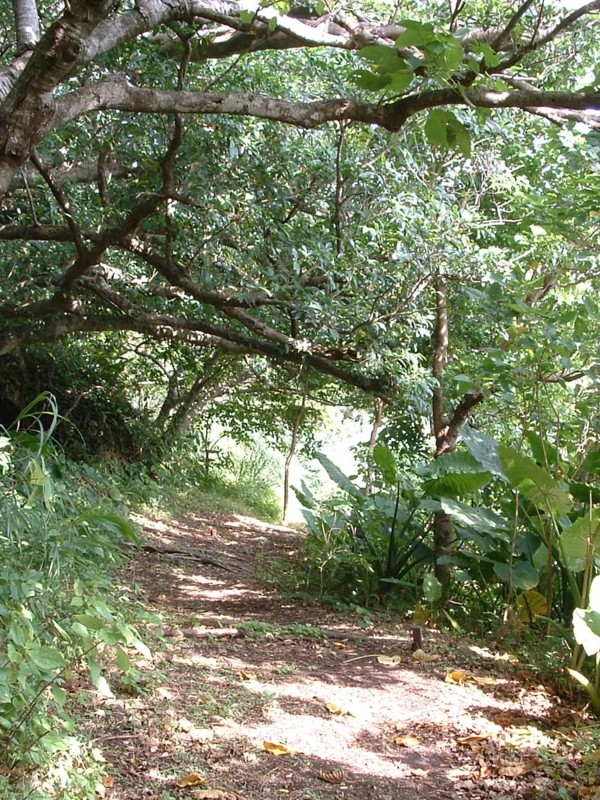 f:id:SQB:20091002225208j:image f:id:SQB:20091002225208j:image