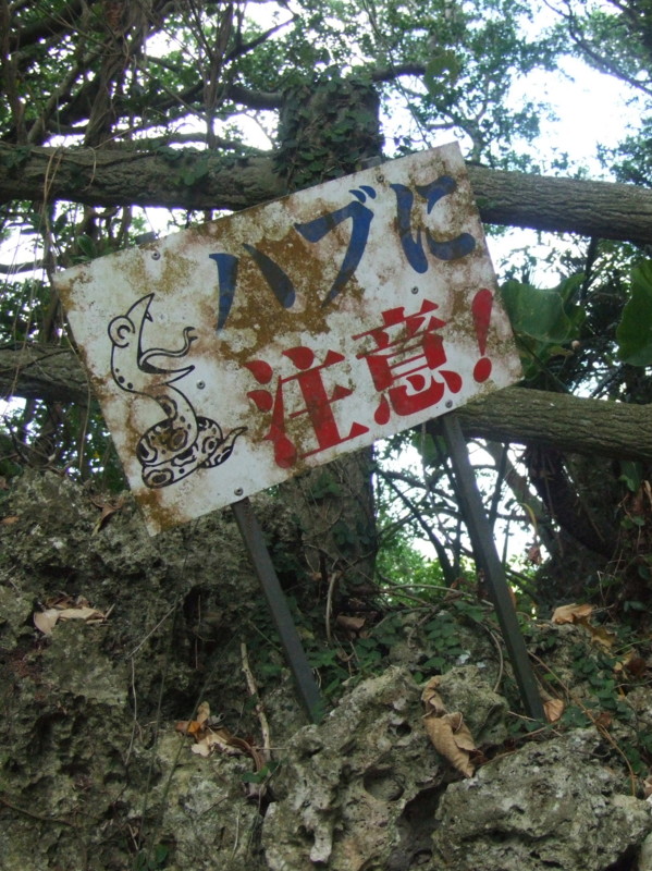 f:id:SQB:20091003225633j:image