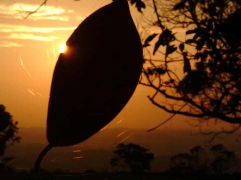 f:id:SQB:20091004222203j:image