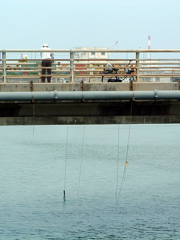 f:id:SQB:20091008223732j:image