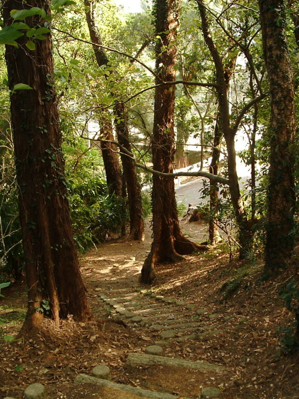 f:id:SQB:20091016220415j:image