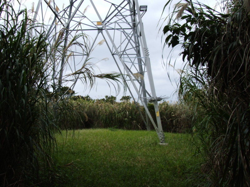 f:id:SQB:20091103225512j:image f:id:SQB:20091103225512j:image