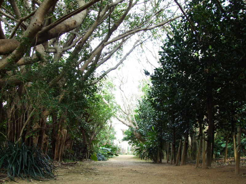 f:id:SQB:20091108202321j:image