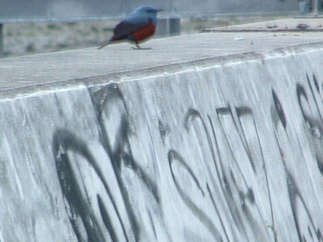 f:id:SQB:20091112213613j:image