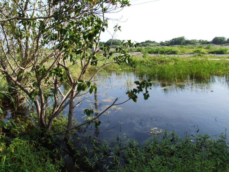 f:id:SQB:20091114214940j:image
