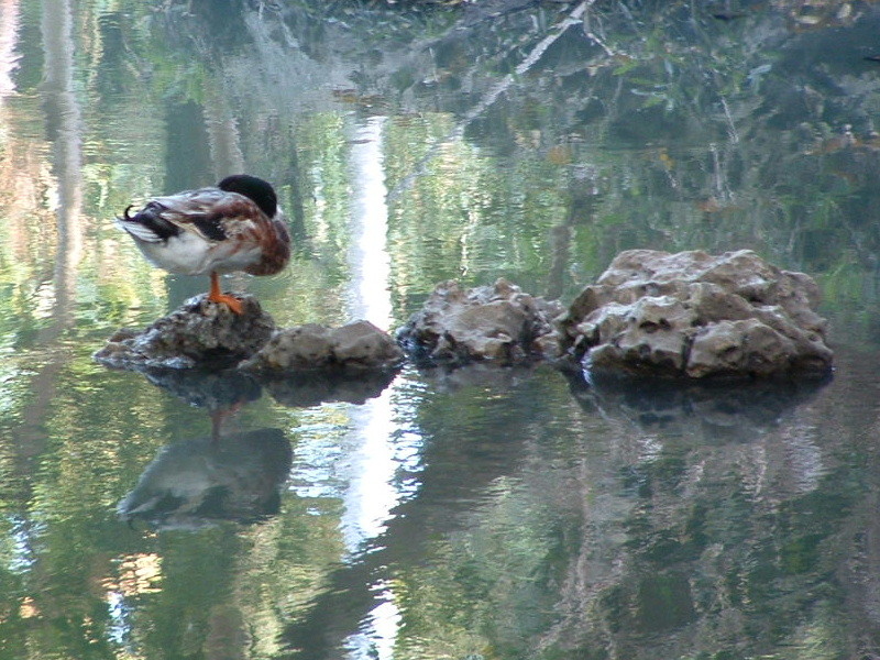 f:id:SQB:20091124214534j:image