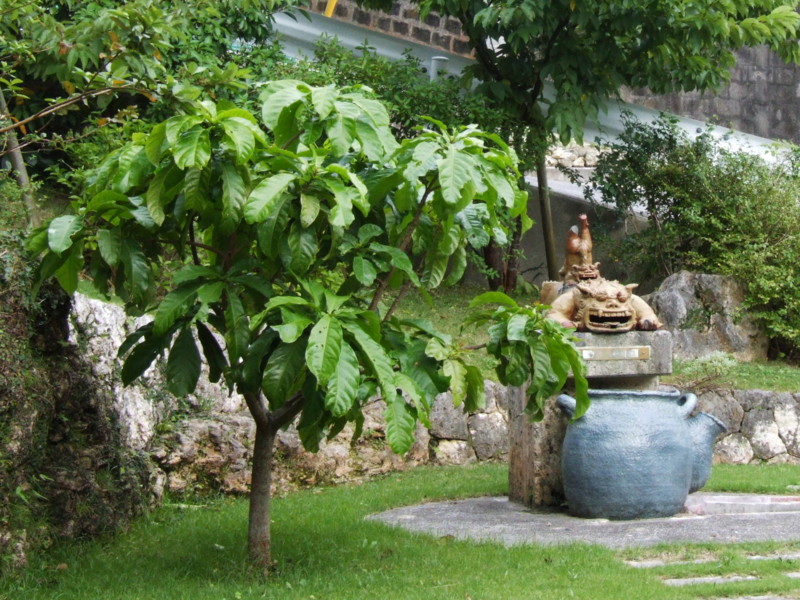 f:id:SQB:20091202214139j:image