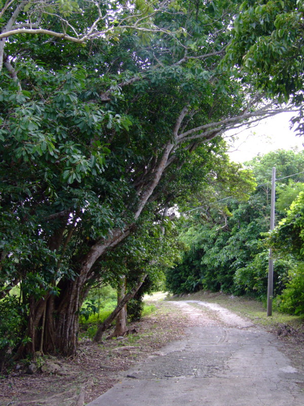 f:id:SQB:20091206195739j:image