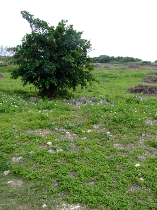 f:id:SQB:20091208220311j:image