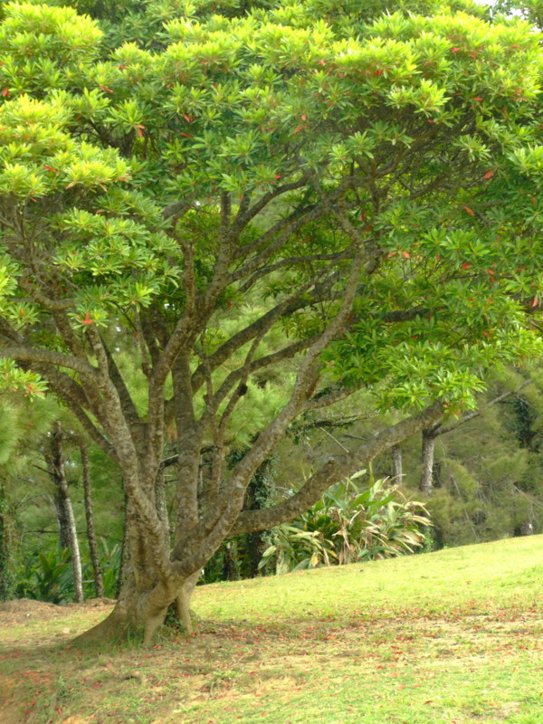 f:id:SQB:20091218215104j:image