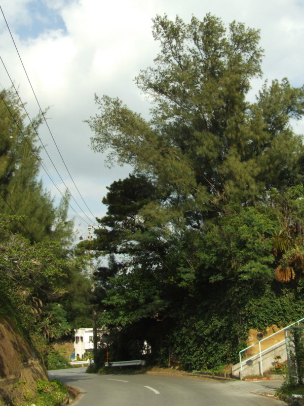 f:id:SQB:20091224205055j:image